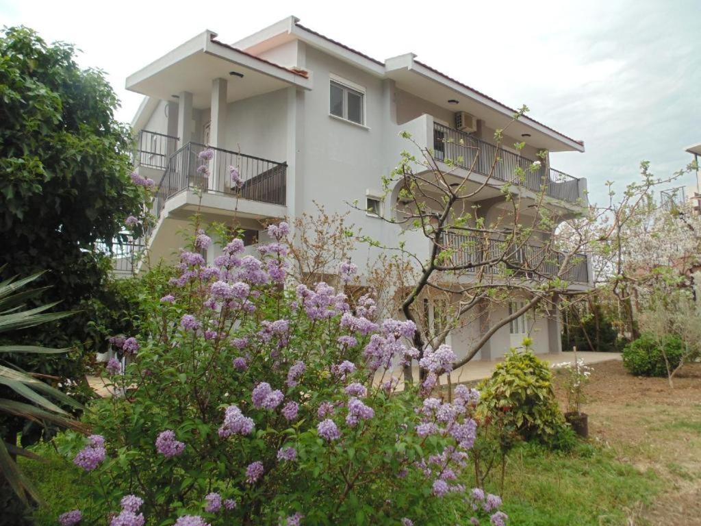 Apartments Macaso بار المظهر الخارجي الصورة