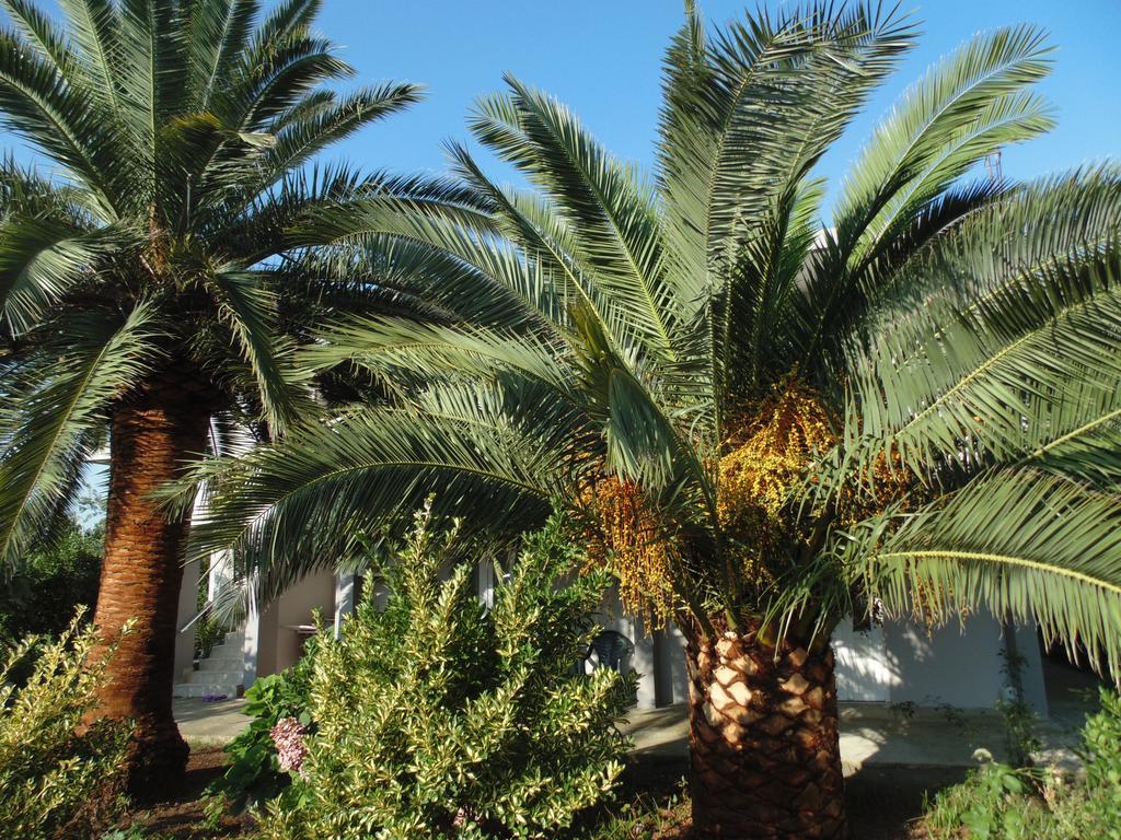 Apartments Macaso بار المظهر الخارجي الصورة