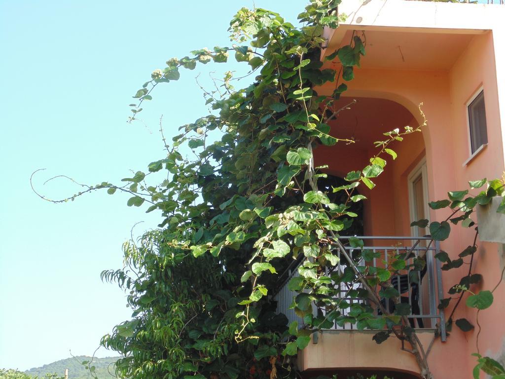 Apartments Macaso بار المظهر الخارجي الصورة